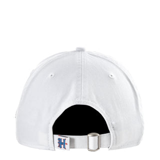 Texans Team Fan 920