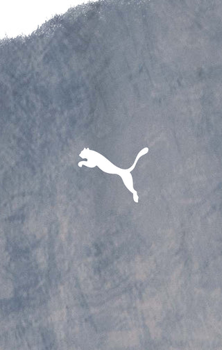 Puma logo on a textured background