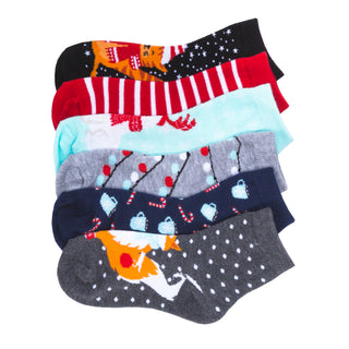 6 Pack X-Small Quarter