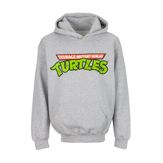 Teenage Mutant Ninja Turtles PO Hoody - Youth