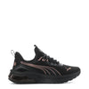 Seeker - Womens