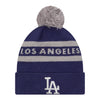 Knit 2-Tone Pom OTC Beanie