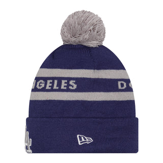 Knit 2-Tone Pom OTC Beanie