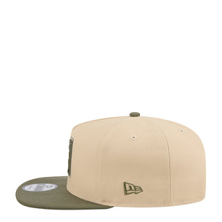 Diamondbacks Color Pack 2-Tone 950 A-Frame