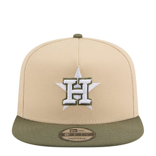 Astros Color Pack 2-Tone 950 A-Frame