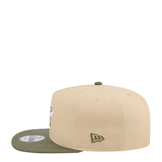 Astros Color Pack 2-Tone 950 A-Frame