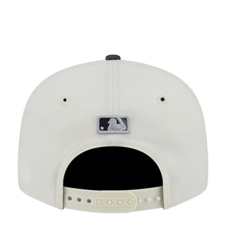 Astros Color Develop 2-Tone 950