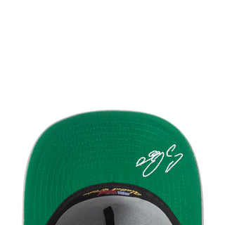 Astros Craig Biggio 2-Tone OTC 950 A-Frame