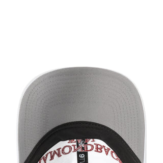 Diamondbacks Team Fan 920