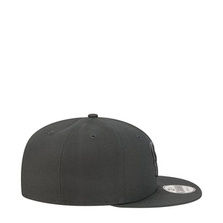 Texans Tonal Color Pack 950