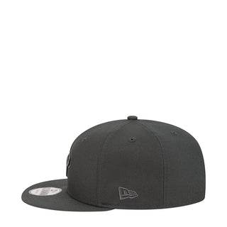 Texans Tonal Color Pack 950