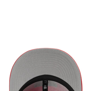 Raiders Shield 950