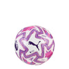 2025-2026 Premier League Brilliance Orbita Mini Ball