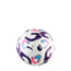 2026 Premier League Cup Mini Ball