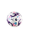2026 Premier League Cup Mini Ball