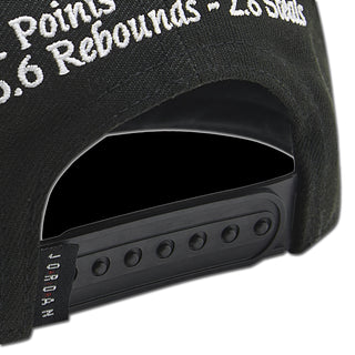 Youth Jordan AJ6 Playoff Pro Snapback