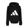Essential Big Logo Fleece PO Hoody - Youth