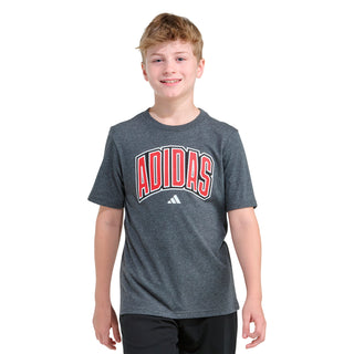Collegiate Arch Heather Tee - Youth