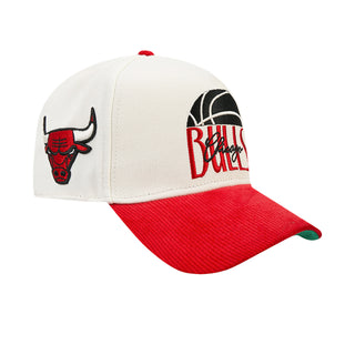 Bulls Original Players Wool Blend Pro Pinch Strapback