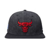 Bulls First Team Pro Six Snapback