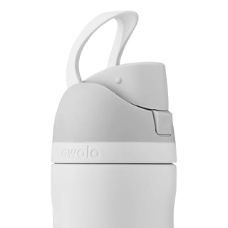 FreeSip 24 oz stainless steel bottle with carry loop handle and latch on top.