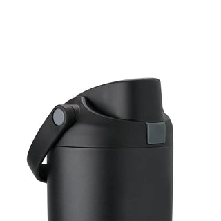 Dark stainless steel 30 oz bottle with swing-up lid and carry handle.