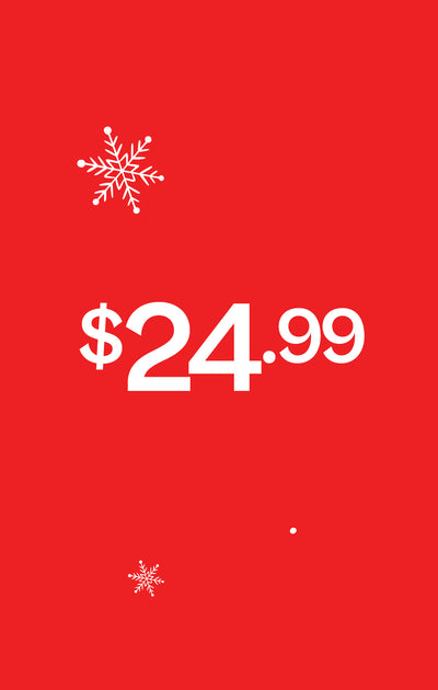 Red background with white snowflake icons and the price $24.99.