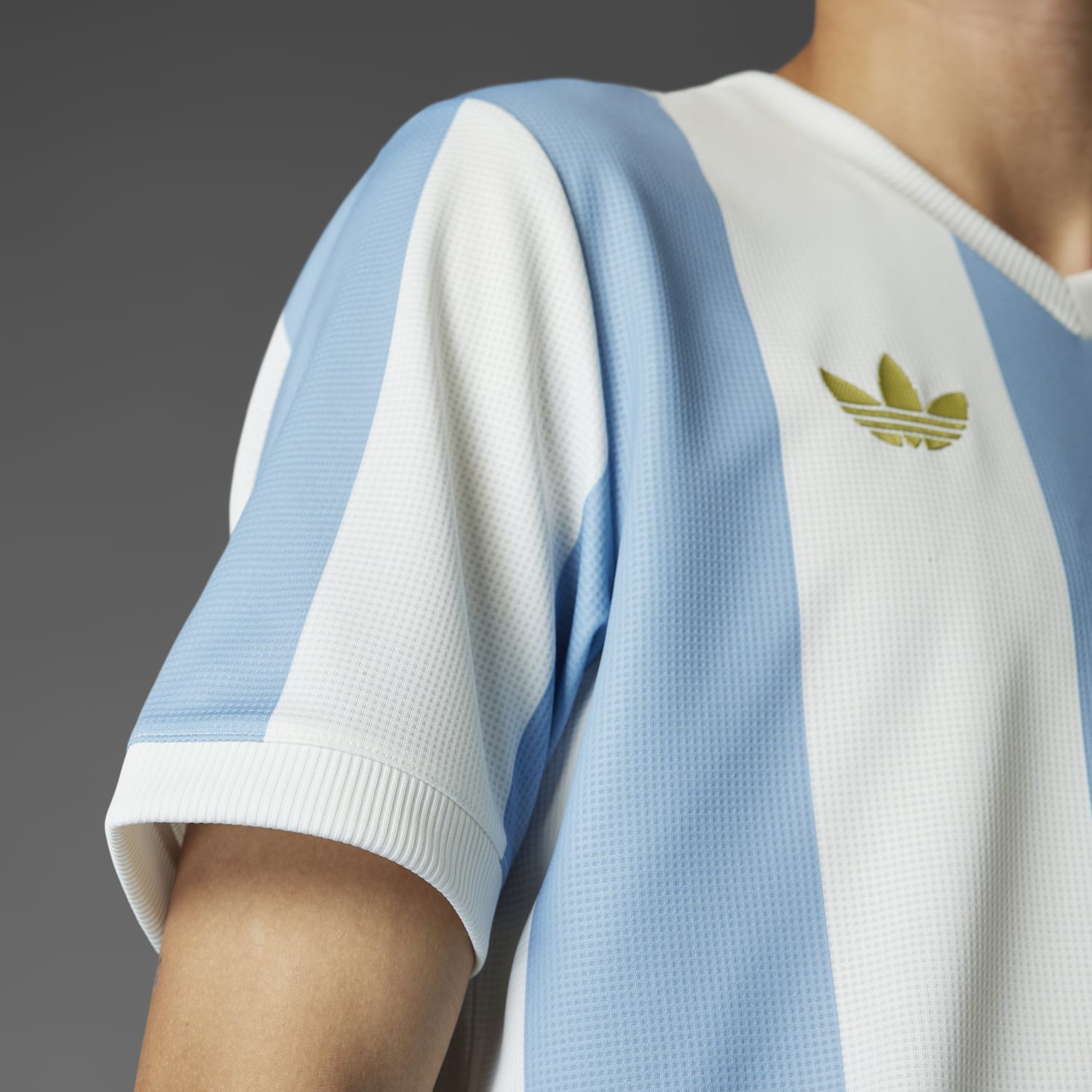 Argentina Anniversary Jersey Mens – ShopWSS - Main Image