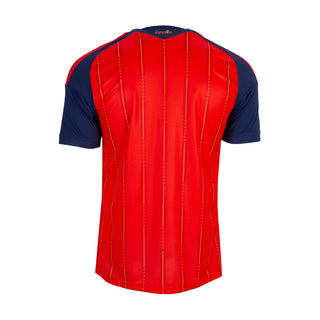 26/27 Spain Replica Home Jersey - Mens