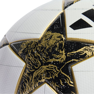 2025 UEFA Champions League Ball