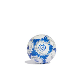 White mini soccer ball with blue ring logo and swirling team graphics