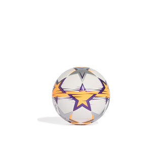 Women’s Champions League mini soccer ball, side view with large purple star and orange lines