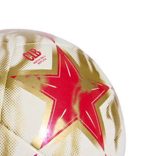 Soccer ball close-up with red star and gold metallic material label patch