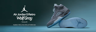 Air Jordan 5 Retro Wolf Grey sneaker on a gradient background with Jordan logo.