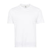 Classic Vneck Tee - Mens